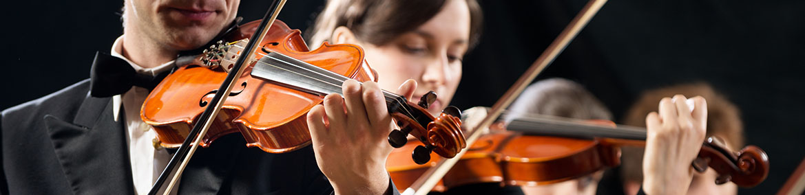 Contratar Violinista en Barcleona