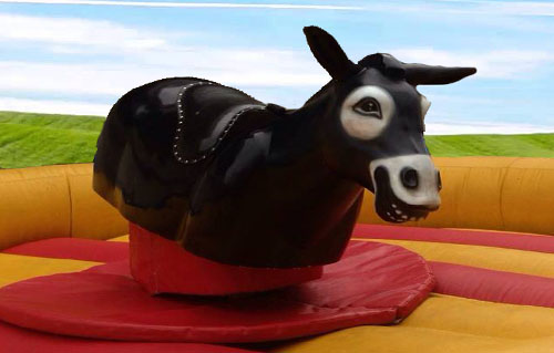 Aqluiler de burro mecánico en Barcelona