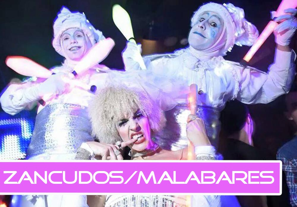 Zancudos en Barcelona